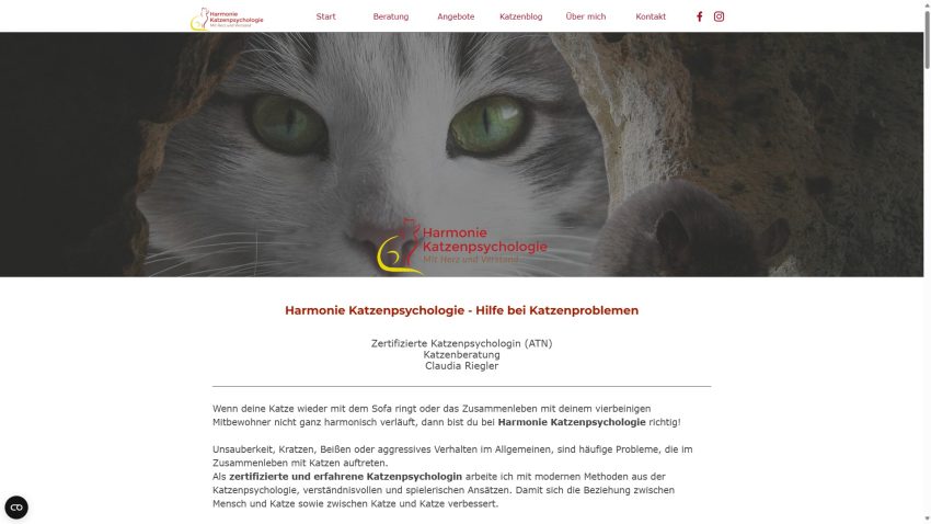 katzenpsychologie